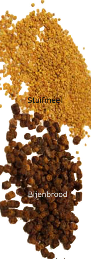 bijenbrood en stuifmeel