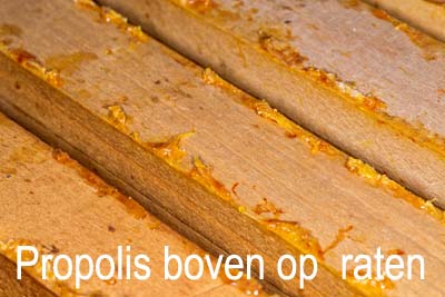 propolis op raten