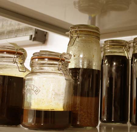 propolistinctuur in stadia 